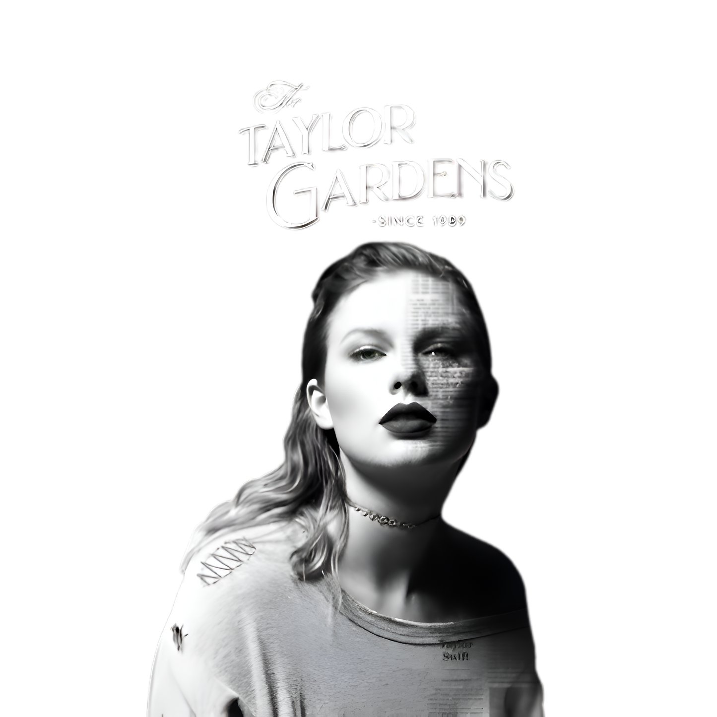 Taylor Swift Crop Top